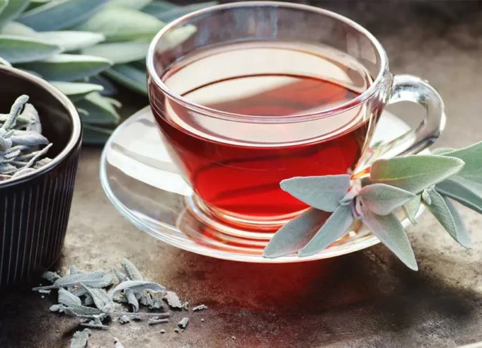 adaçayı günlük ne kadar