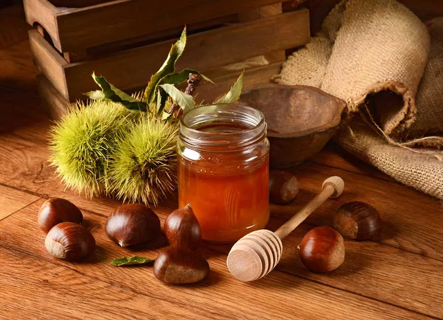 kestane balı neye iyi gelir