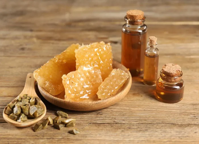 Propolis Faydaları Nelerdir? Nasıl Kullanılır?